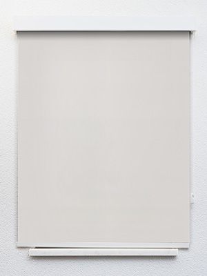 Preview Rollo Daily Uni 12.850 1