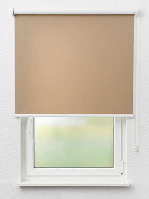 Rollo Life Reflection 21.421 Fensteransicht