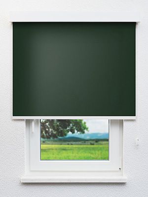 Verdunkelungsrollo Life Dark 78.241 Fensteransicht