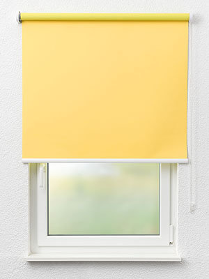 VD Rollo Privatex Dark 42.151 Fensteransicht