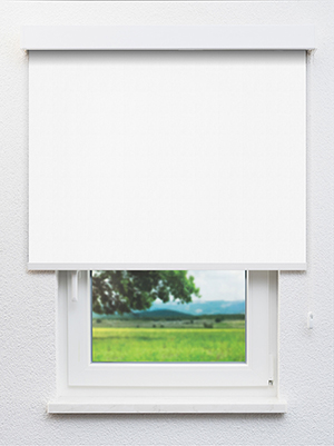 White 53.52d Fensteransicht