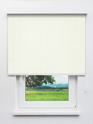 Palmeira 75.52d Fensteransicht