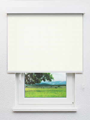 Perl 16.52d Fensteransicht