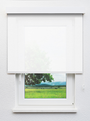 Rubia 69.52d Fensteransicht