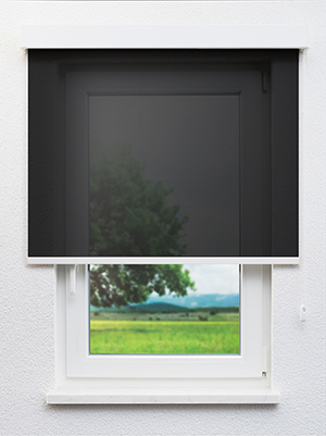 Castello 71.62d Fensteransicht