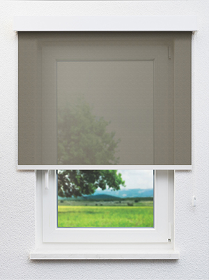 Nendo 81.62d Fensteransicht