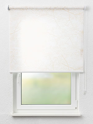 Rollo Modern Graphics 10.162 Fensteransicht