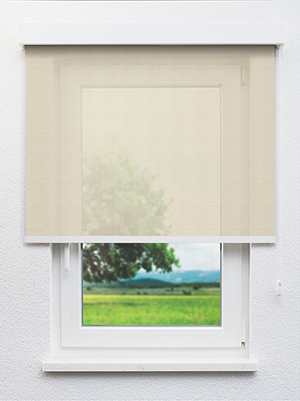 Sangara 55.62d Fensteransicht