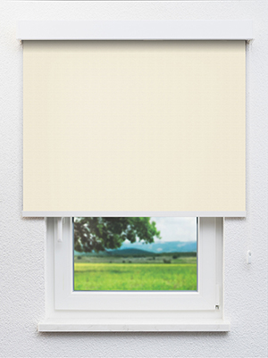 Perl 96.62d Fensteransicht