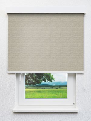 Bukisi 39.62d Fensteransicht