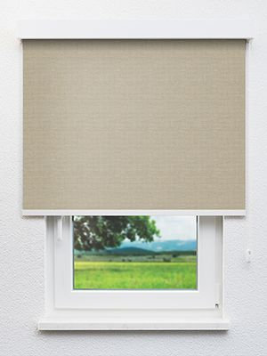 Mendi 00.72d Fensteransicht