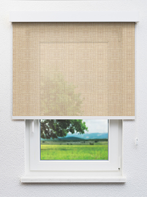 Perl 01.72d Fensteransicht