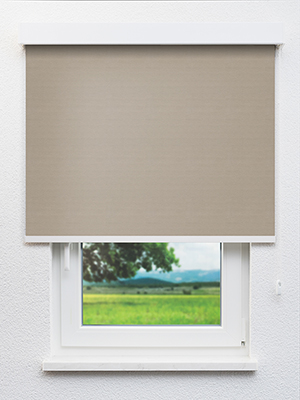 Perl 03.72d Fensteransicht