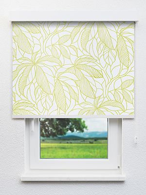 Kikori 38.72d Fensteransicht