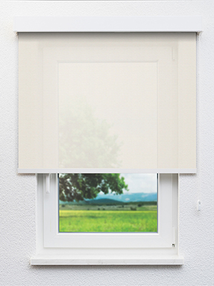 Rakia 02.82d Fensteransicht