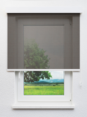 Stoff Rollo Ma&szlig;anfertigung Rakia 62.82d