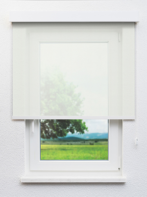 White 04.82d Fensteransicht