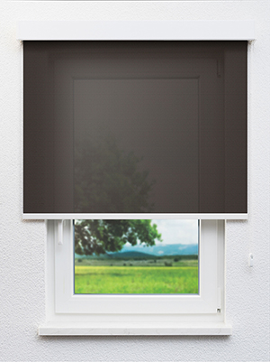 Brown 54.82d Fensteransicht