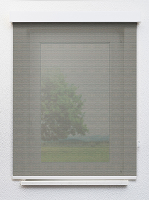 Preview Grey 25.82d 1