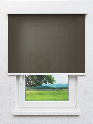 Balimo 16.82d Fensteransicht