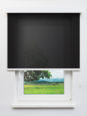 Balimo 26.82d Fensteransicht