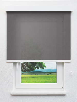 Terroso 76.82d Fensteransicht