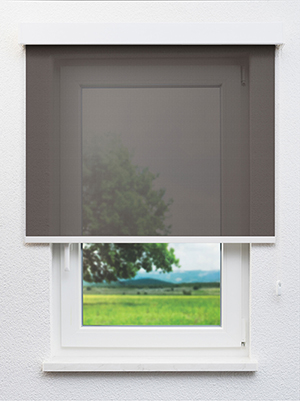 Ipota 29.82d Fensteransicht