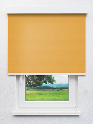 Masusu 21.92d Fensteransicht