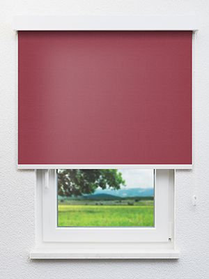 Masusu 41.92d Fensteransicht