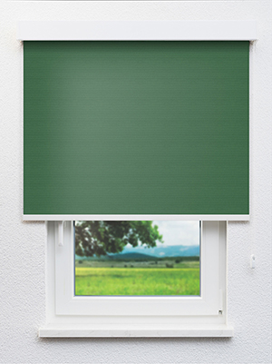 Masusu Blackout 03.92d Fensteransicht