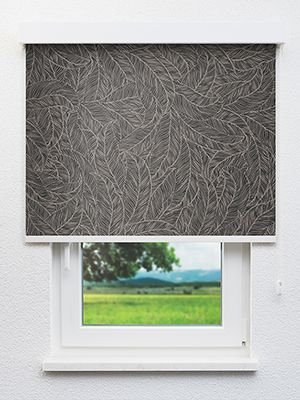 Owaka 06.92d Fensteransicht