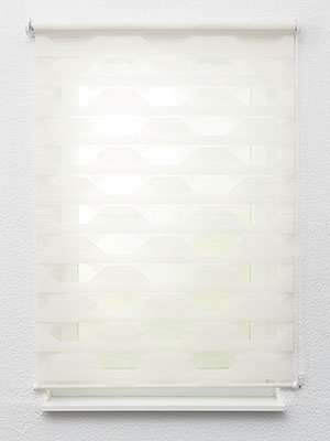 Preview Doppelrollo Fansite 12.892 1