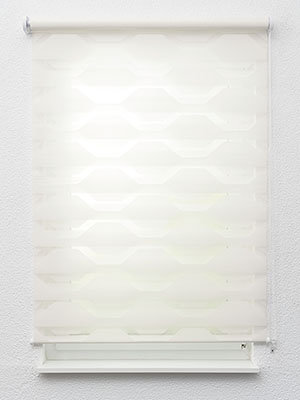 Preview Doppelrollo Fansite 12.892 2