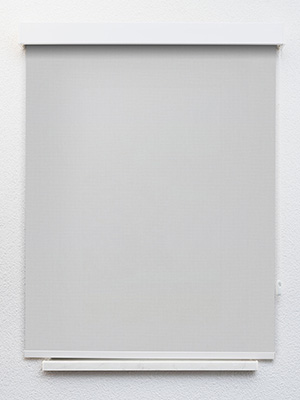 Preview Rollo Albus 10.603 1