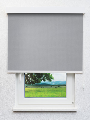 Rollo Albus 30.603 Fensteransicht