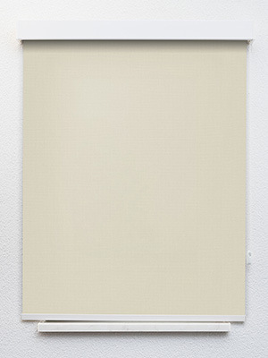 Preview Rollo Albus 91.603 1