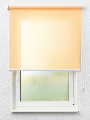 Rollo Trevira Basic 52.814 Fensteransicht