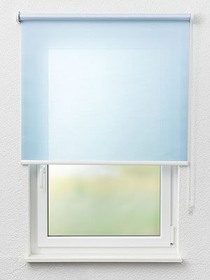 Rollo Magnoly 10.044 Fensteransicht