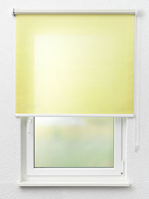 Rollo Magnoly 20.044 Fensteransicht