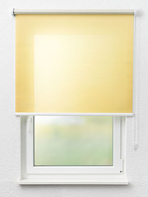 Rollo Magnoly 30.044 Fensteransicht