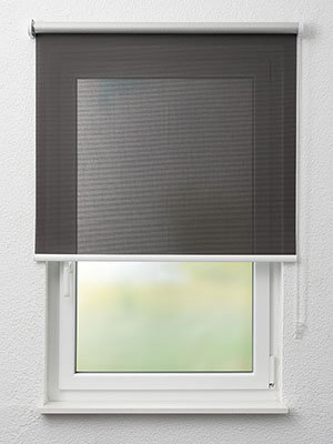 Rollo Mirky 40.784 Fensteransicht