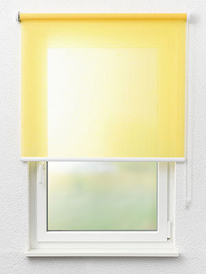 Rollo Rib 32.105 Fensteransicht