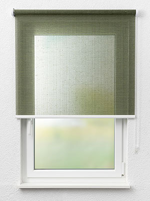 Rollo Rib 88.105 Fensteransicht