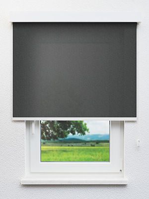 Rollo Clear Structure 30.106 Fensteransicht