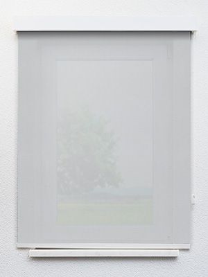 Preview Rollo Juno 00.606 1