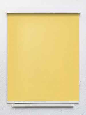 Preview Verdunkelungsrollo Unichrome 62.476 1