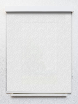 Preview Rollo Tufts 12.196 1