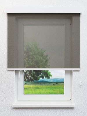 Rollo Rug 50.127 Fensteransicht