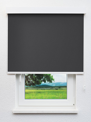 Verdunkelungsrollo Alice 40.078 Fensteransicht