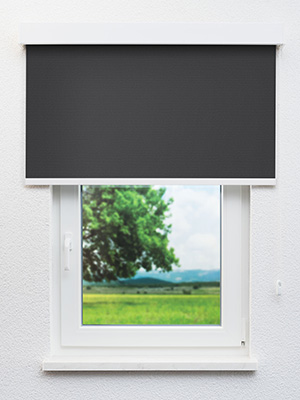 Preview Verdunkelungsrollo Alice 40.078 2